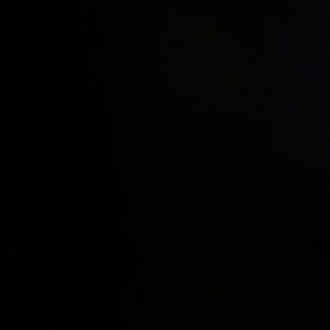 Meet your Posher, Sean